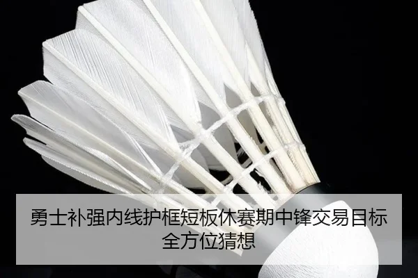 勇士补强内线护框短板休赛期中锋交易目标全方位猜想