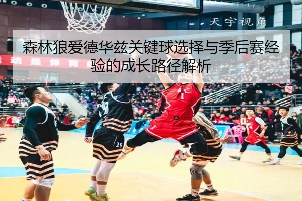 森林狼爱德华兹关键球选择与季后赛经验的成长路径解析