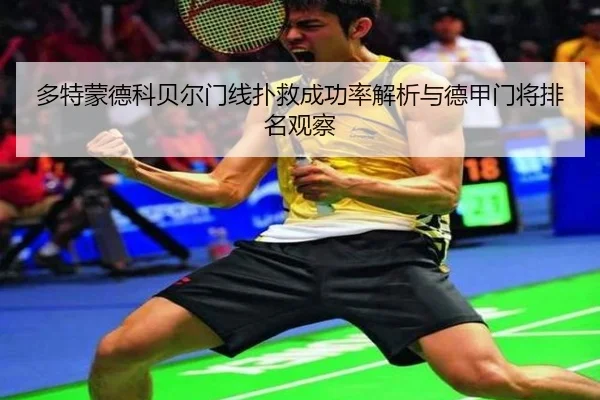 多特蒙德科贝尔门线扑救成功率解析与德甲门将排名观察
